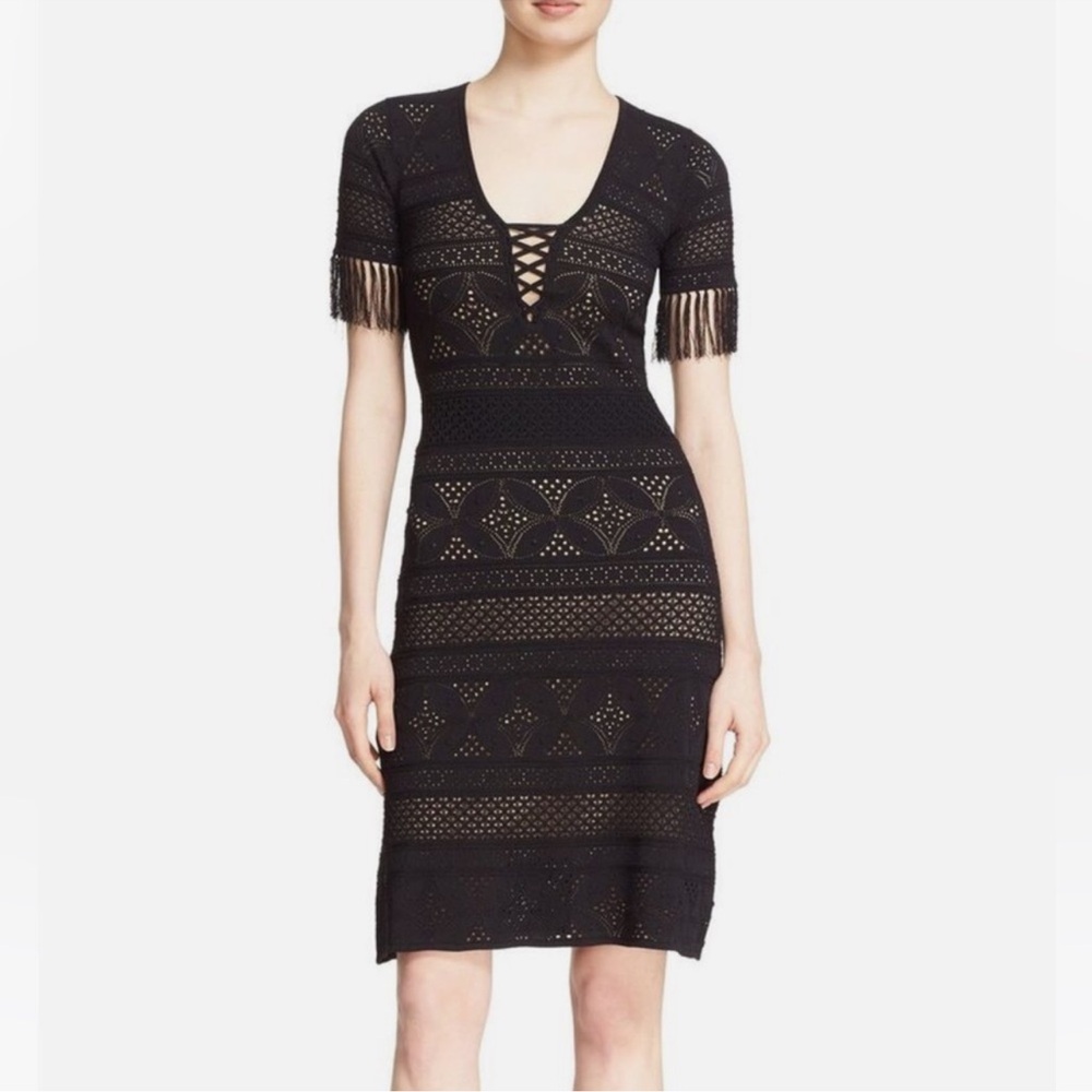ALC lace crochet dress | Like New